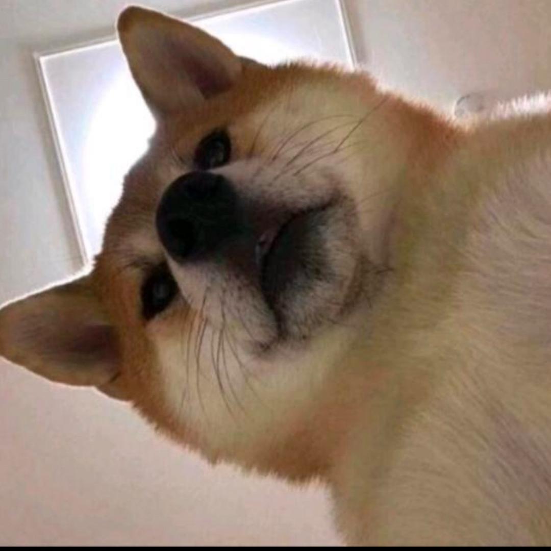 爱吃肉（做家庭版美食）