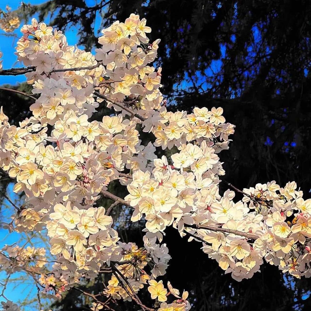 ℳ๓′岁月 ᭄