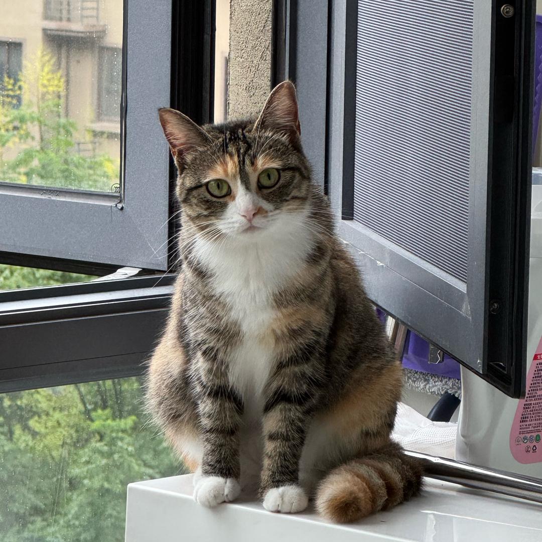 mini梅有烦恼（邪恶😈版）