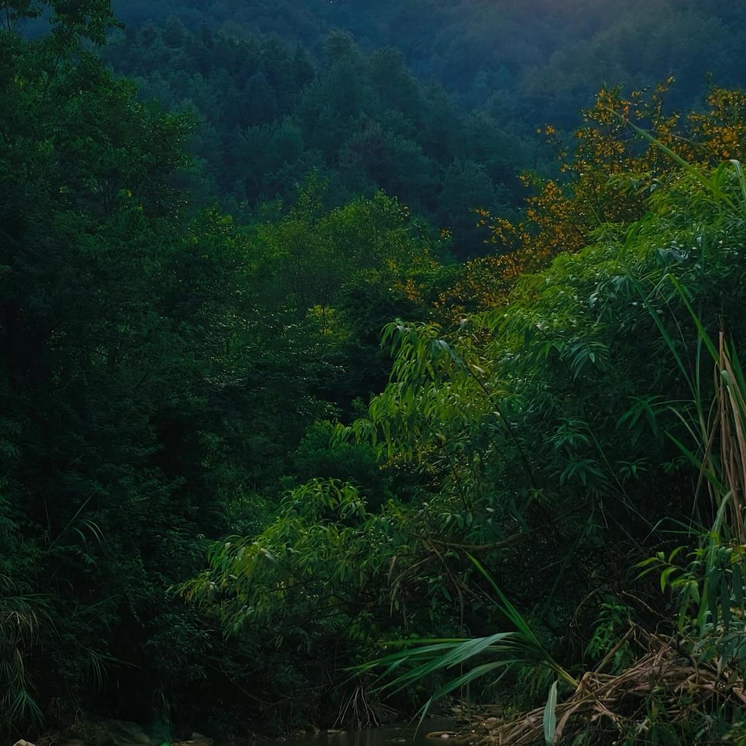 以后的以后.（关必回）