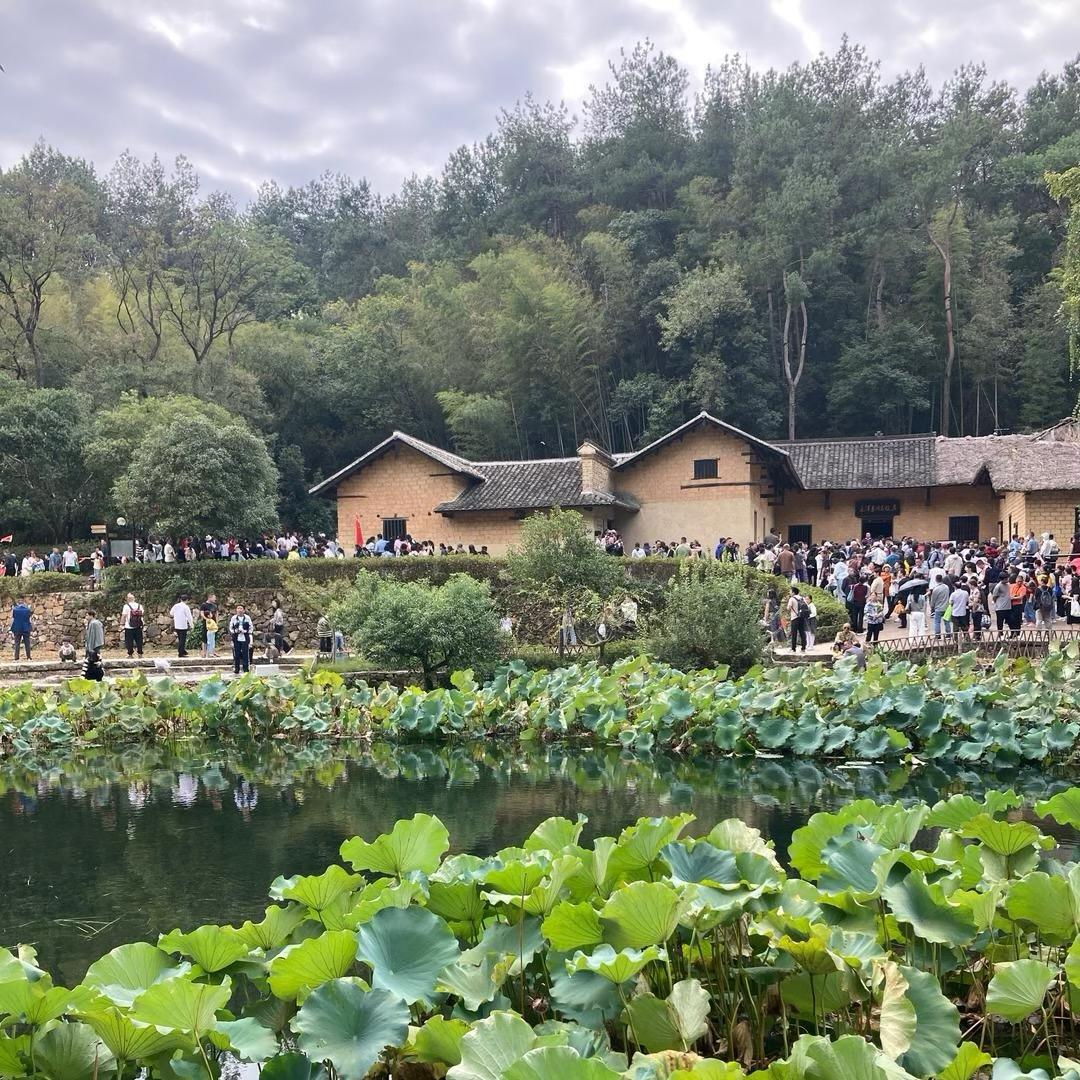 小景看书旅行