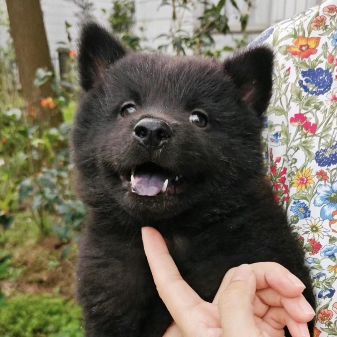 漧膕