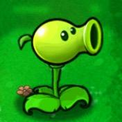 🟢🟢🟢🟢🟢