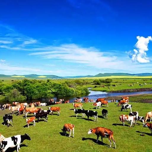 百润生鲜店牛背骨江浙沪