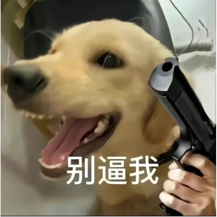 超级暴龙战士🦖