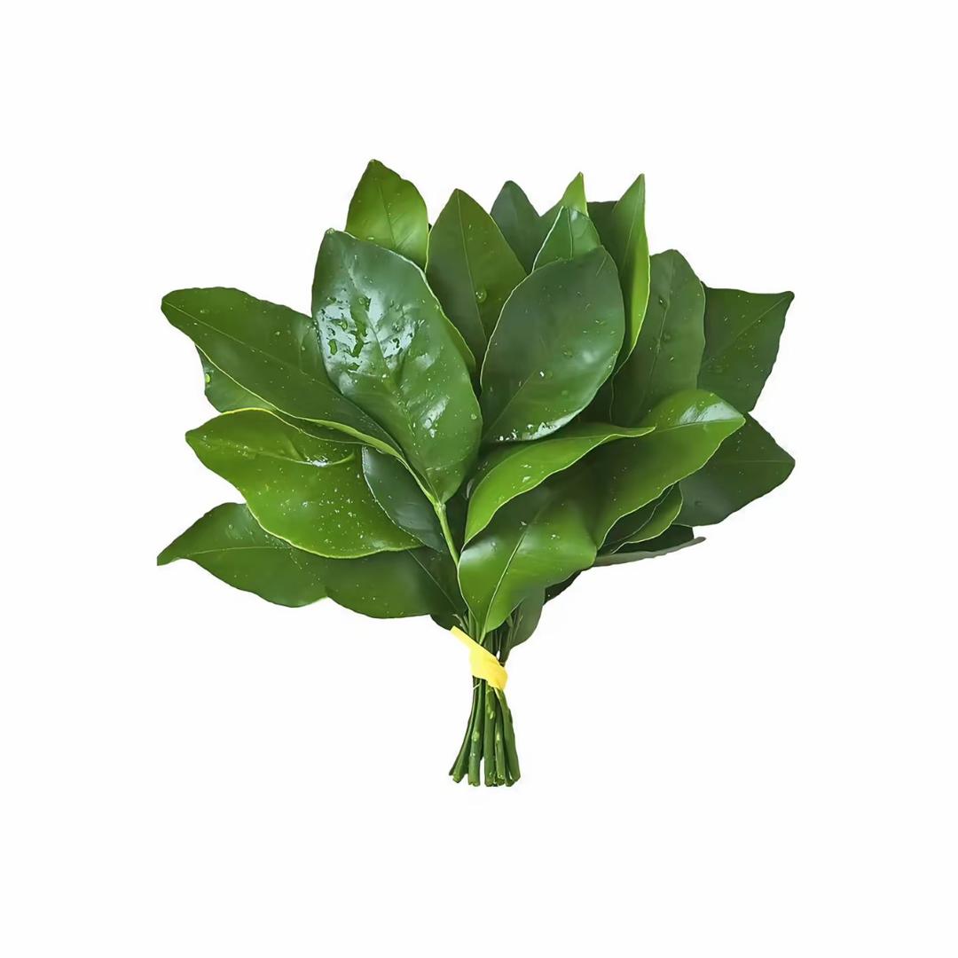 小羊肖恩