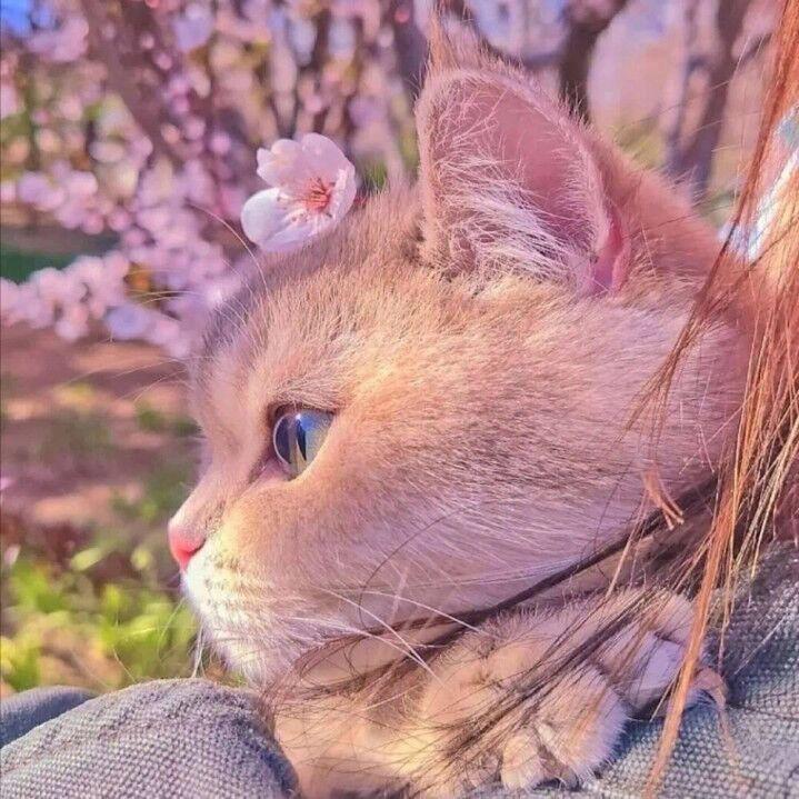 宇宙超级无敌美丽可爱叶罗丽公主