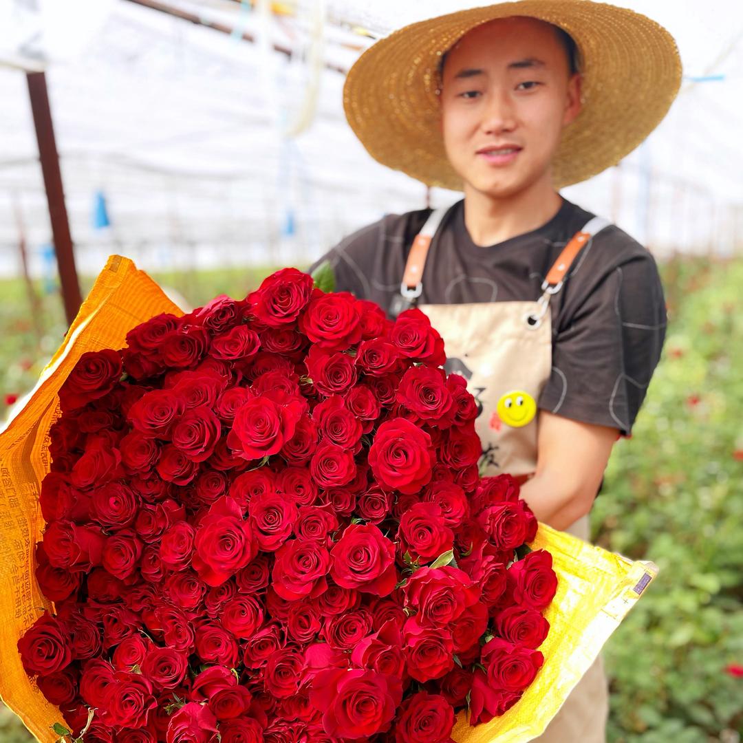 侍花弄草