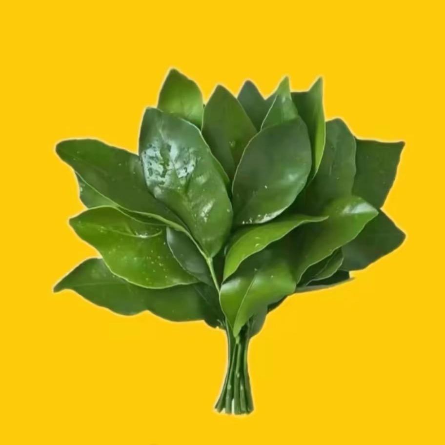 吃了可可爱爱
