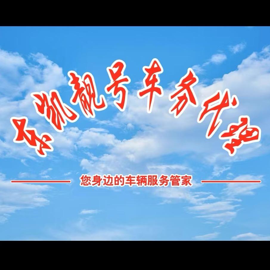 东凯玩数字（车驾管）