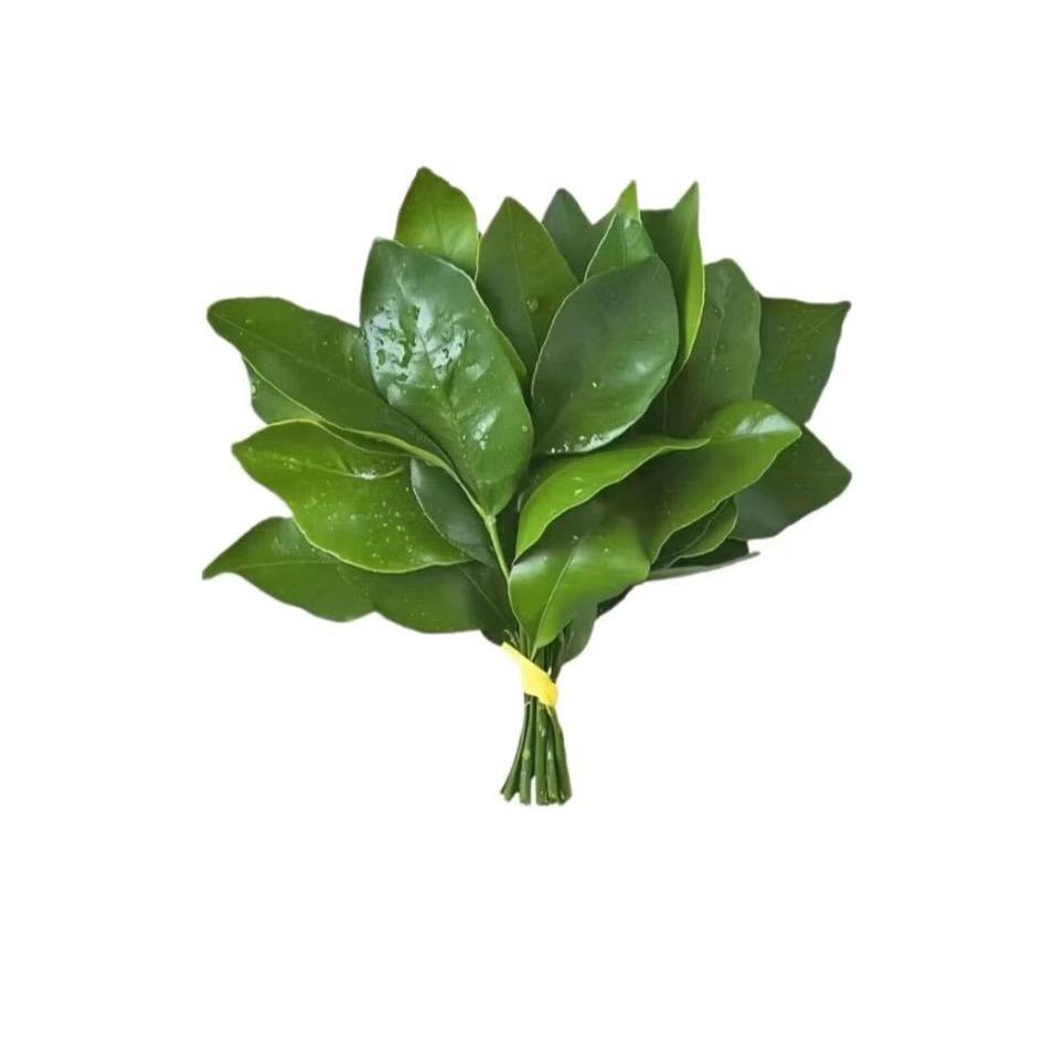 海盐芝士