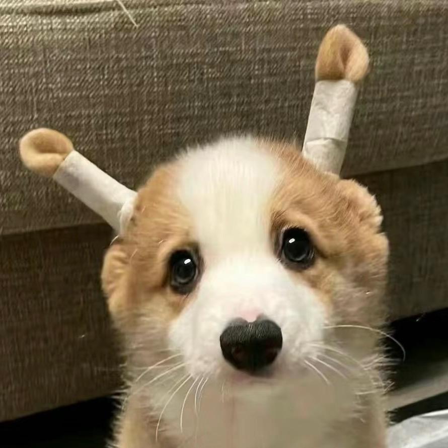 南京金融快乐薯