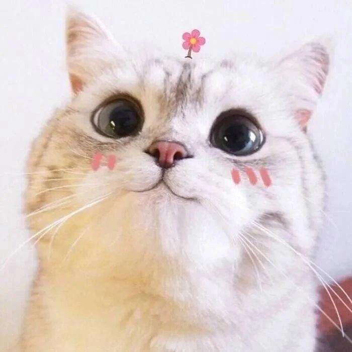 檐下系风铃