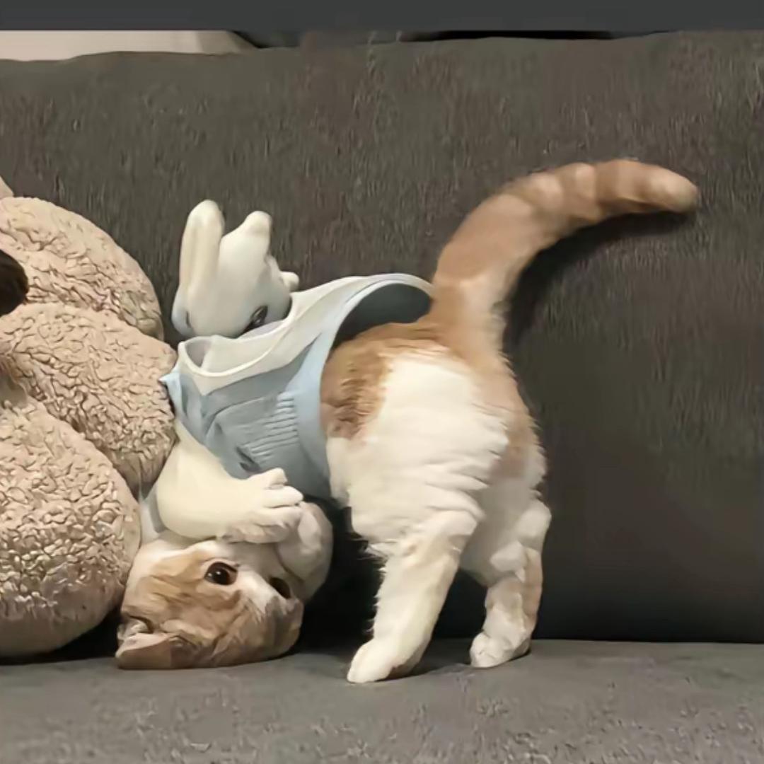 ^u