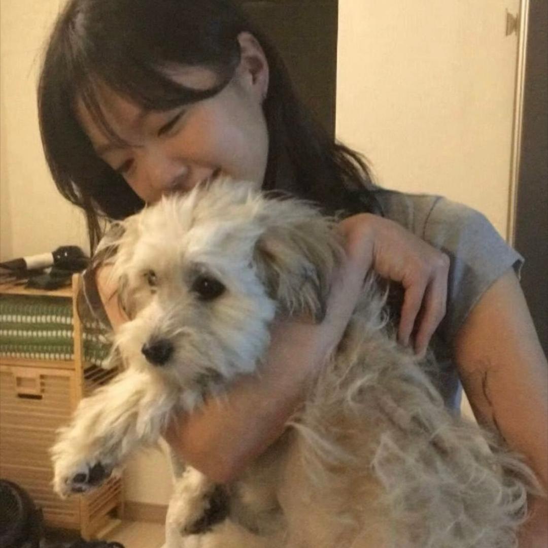 呆呆 .