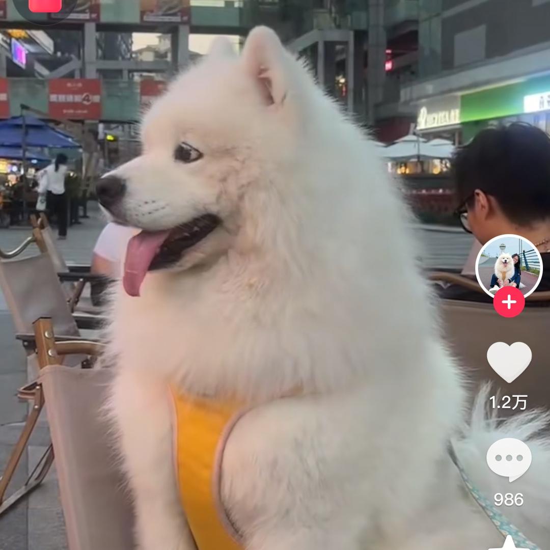 欧