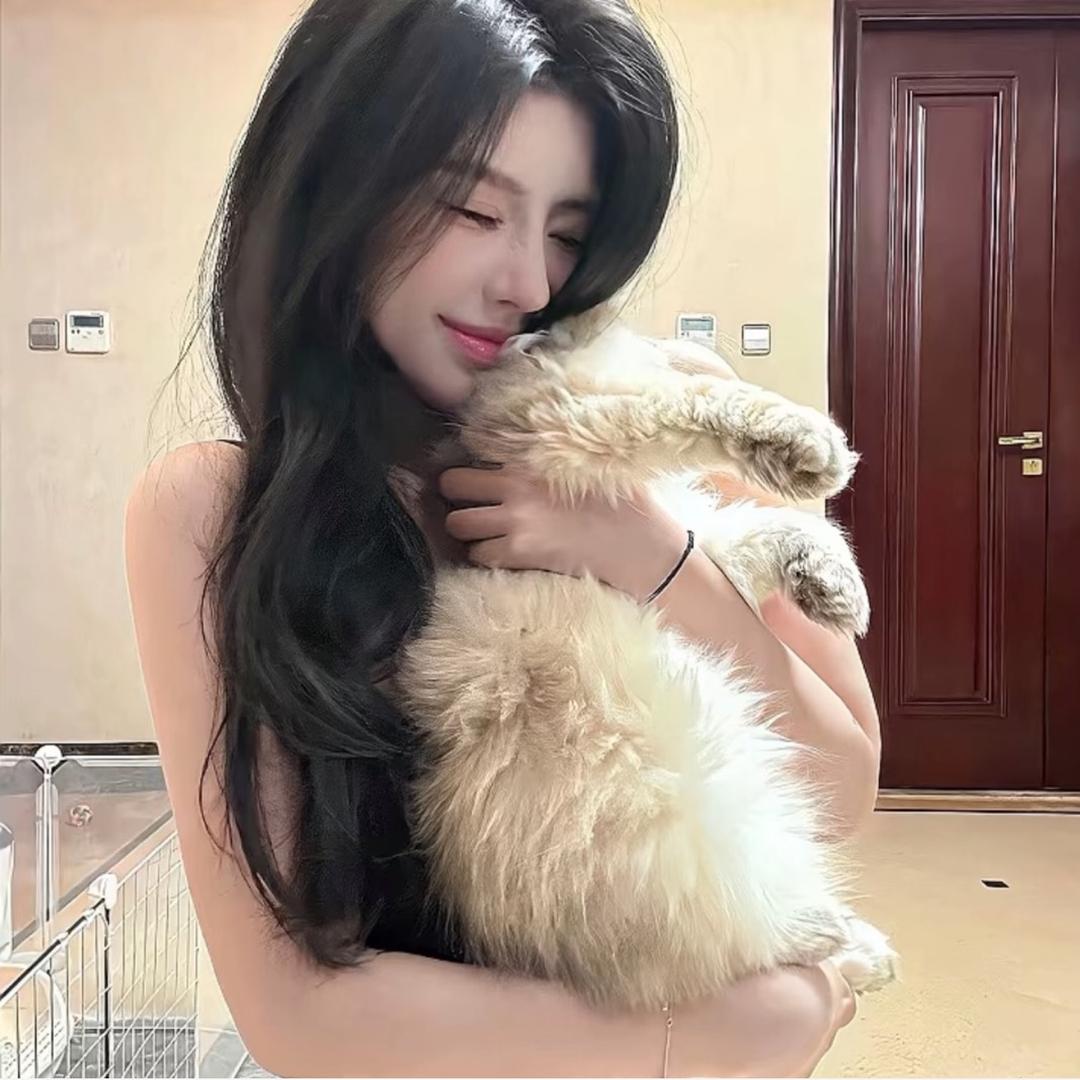 美人鱼有大长腿