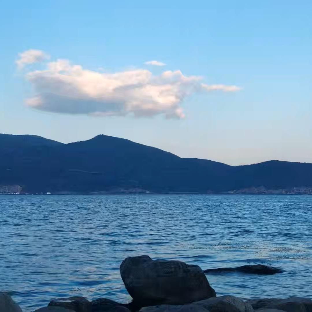 风清杨