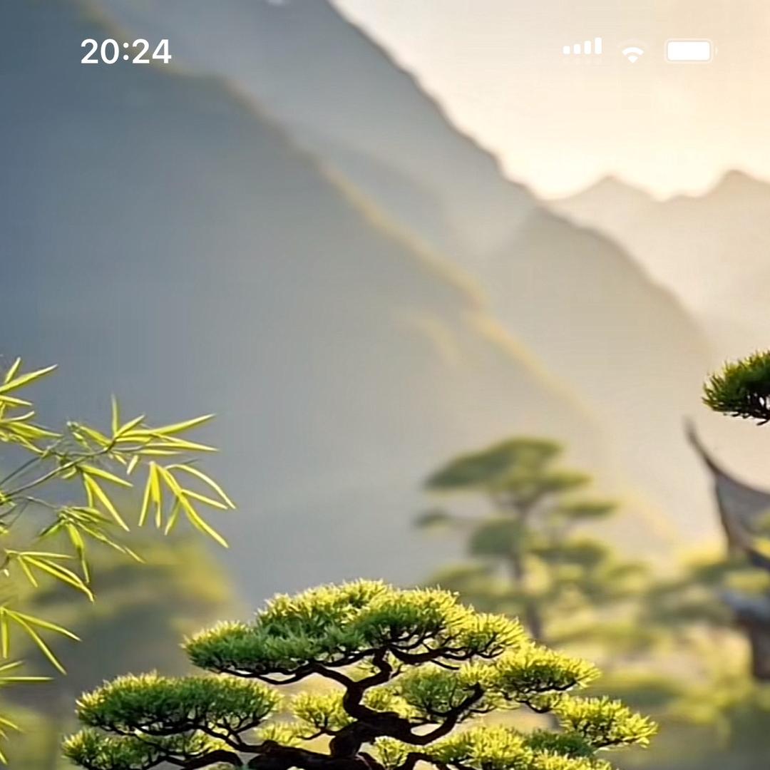 雅致水培盆景绿植园艺