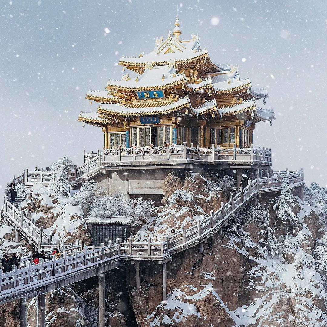 妞妞旅行家