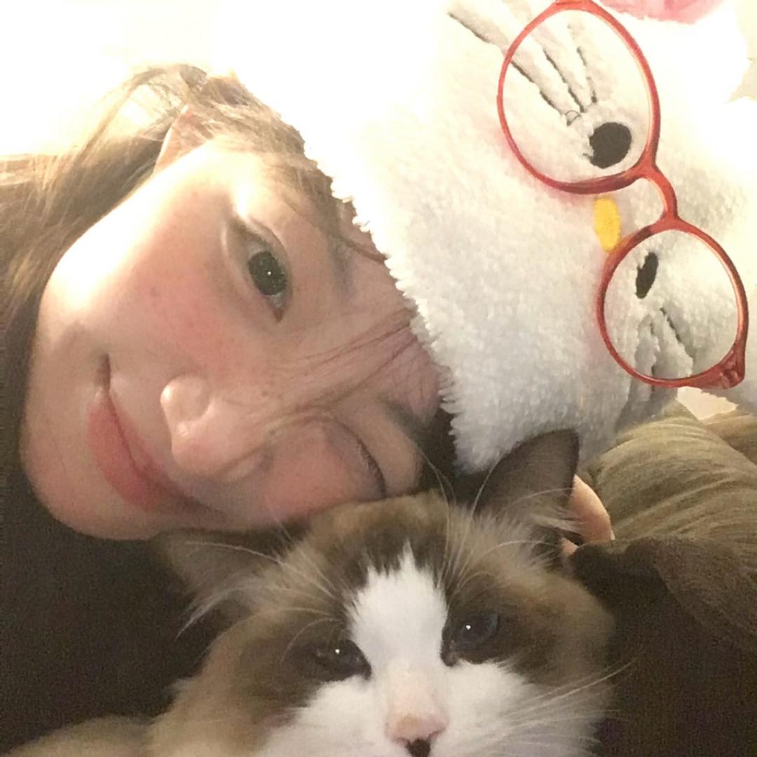 是不是有猫饼