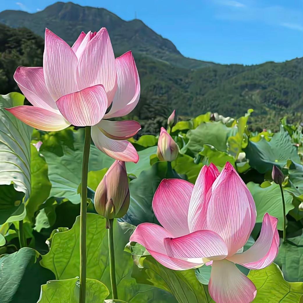 ꧔ꦿ᭄余生谋财᭄࿐