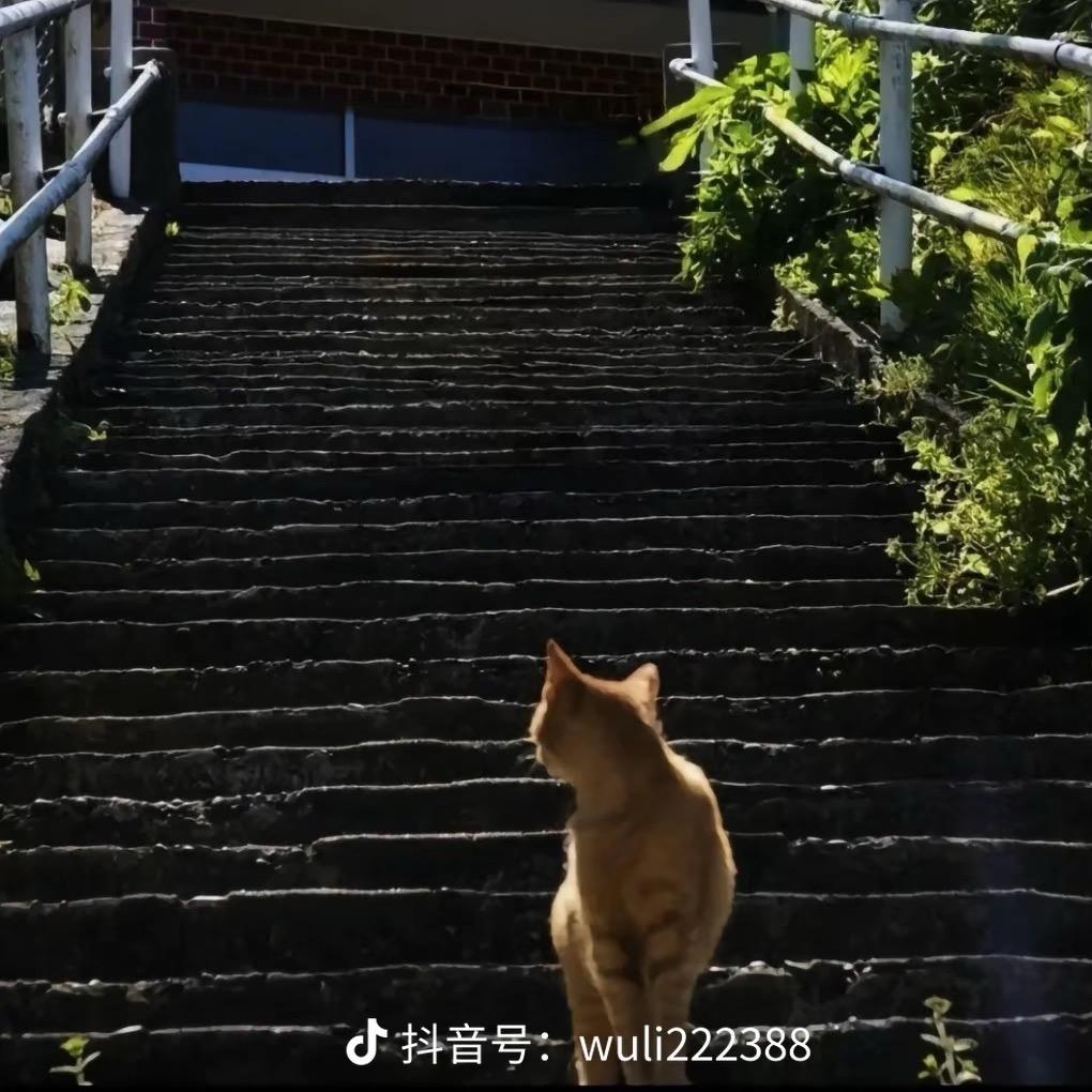 浅浅 钱
