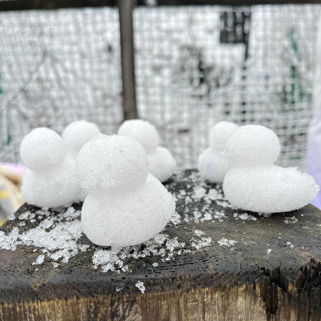 🫧🐠你无官🍃