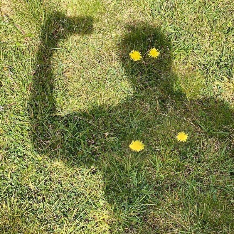 马踏热京赏樱花