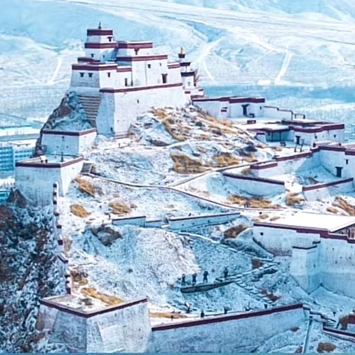 西藏康措商贸