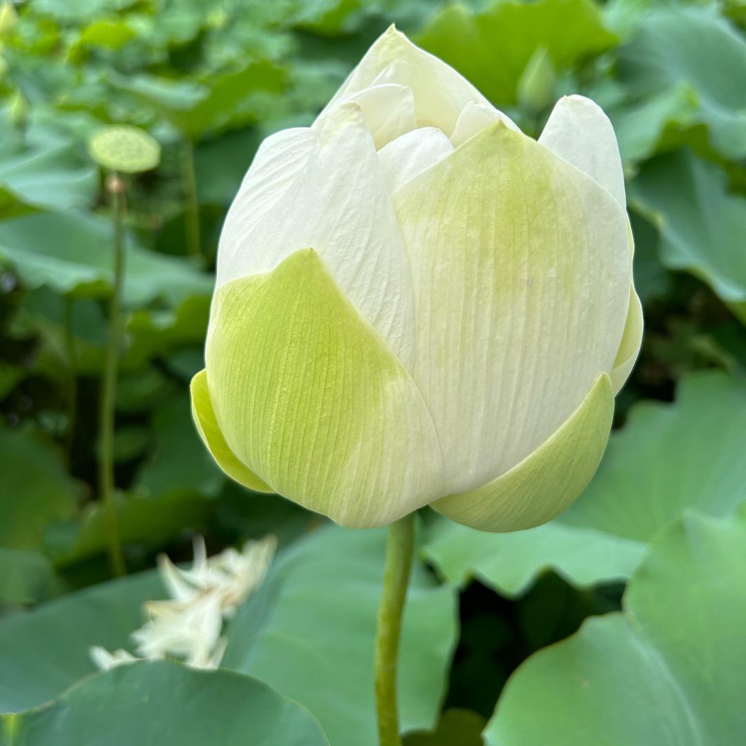 一个有故事的人