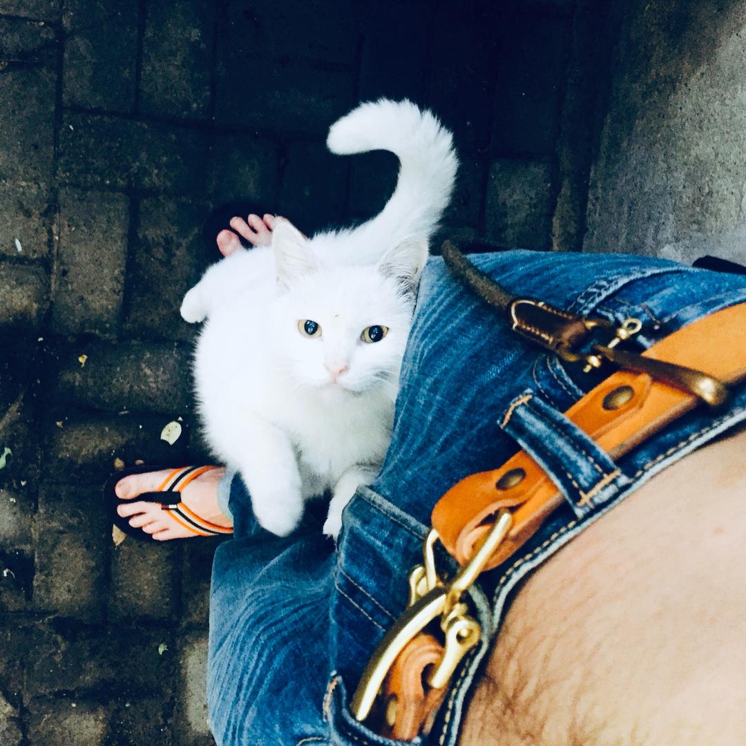 ㅤ魏超