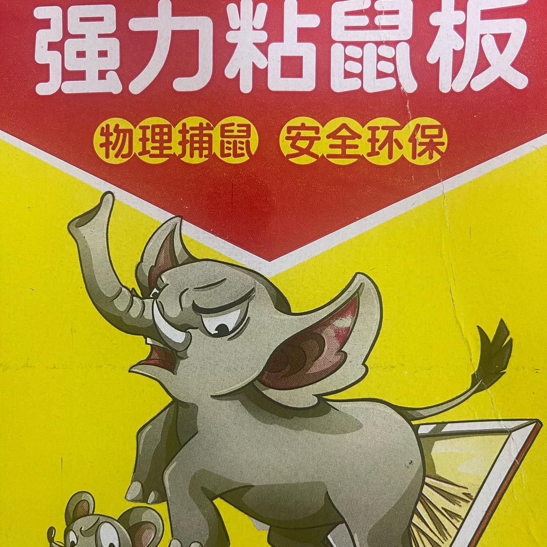 鼠鼠研究所