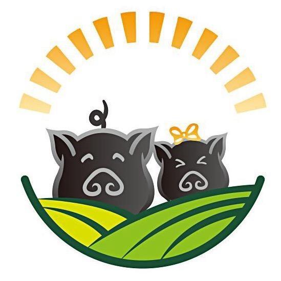 猪响响和猪香香草饲黑猪肉