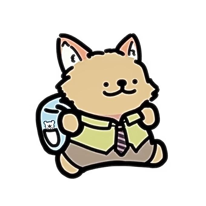 小鸡毛的飞行日记