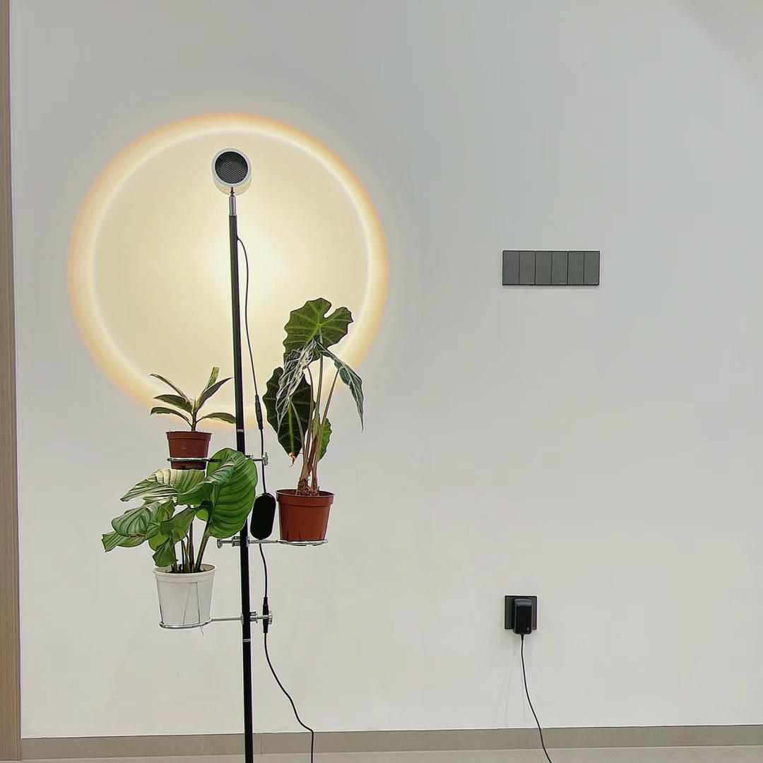 植晤植物补光灯