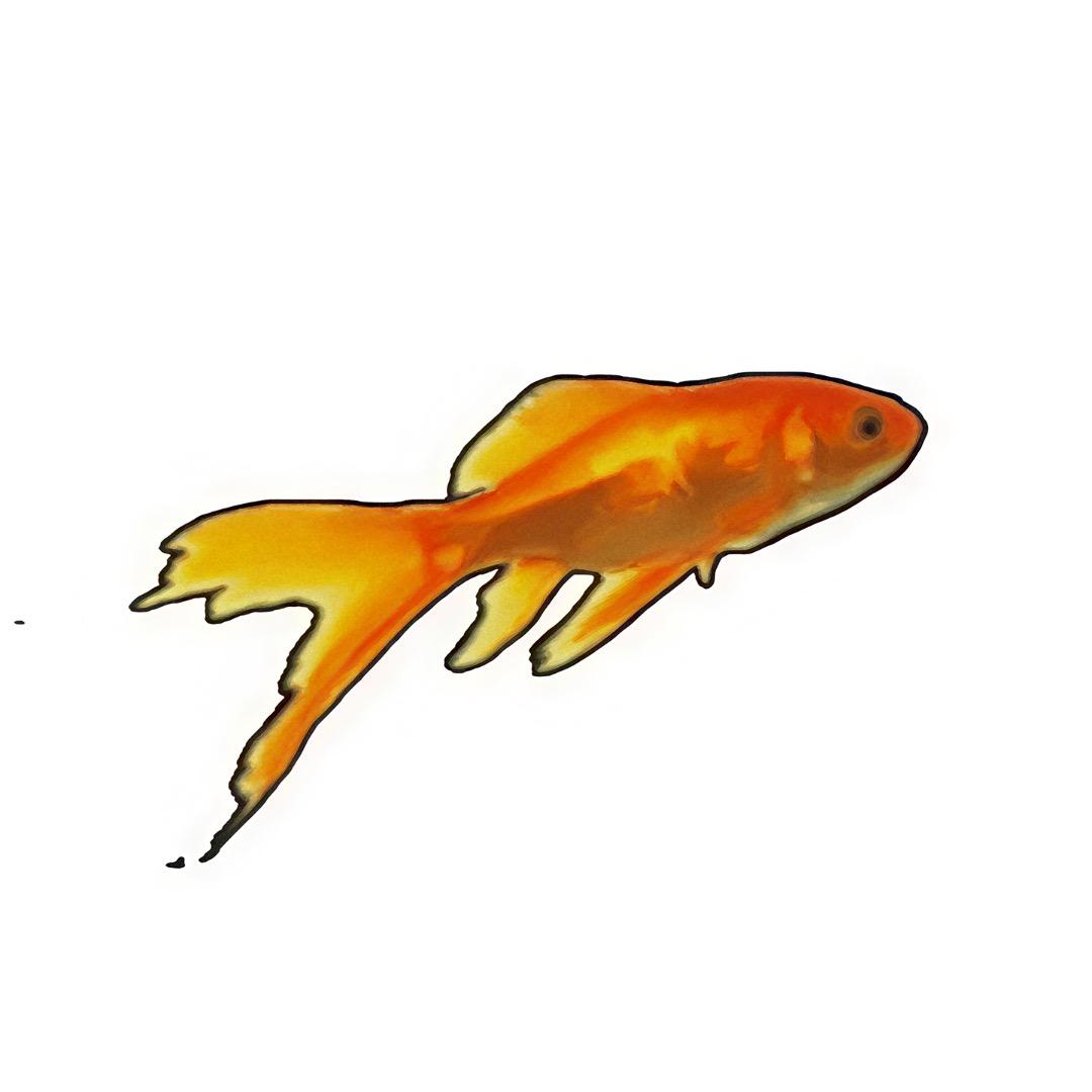 渔