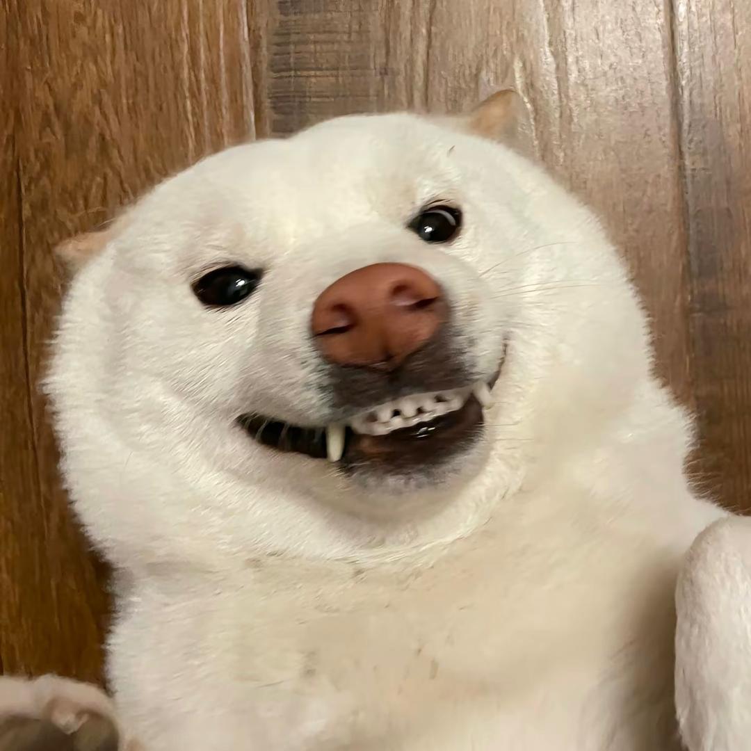 LALAJ.