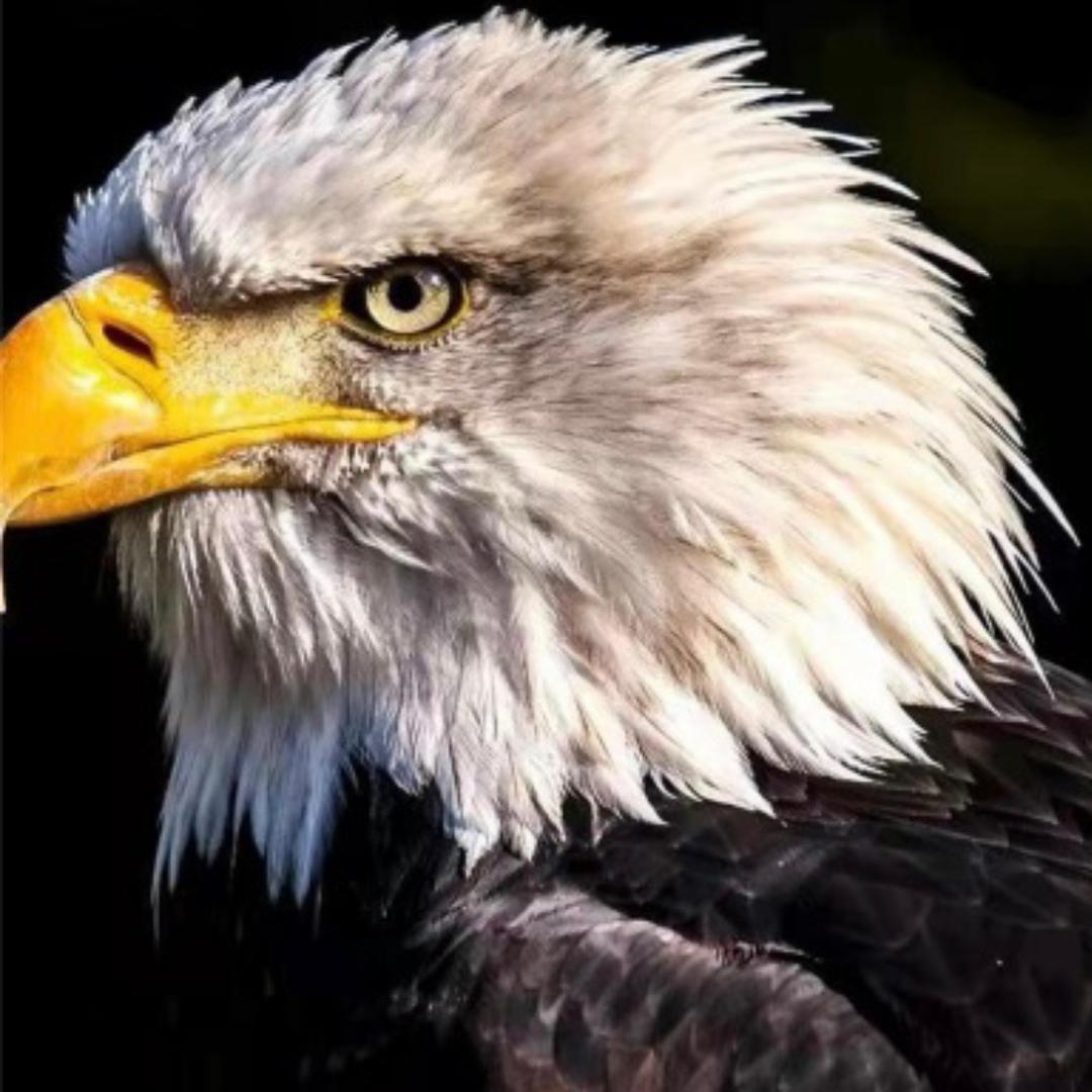 哎哟妈呀，我哩个老天爷啊