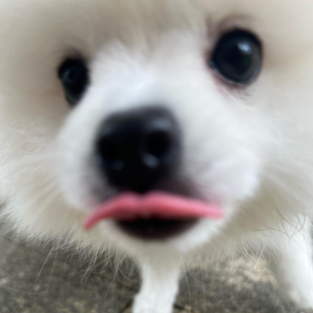 吴世勋老婆
