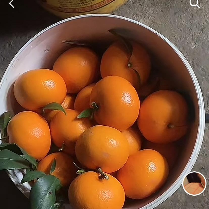 🥂双喜临门🐒🇨🇳