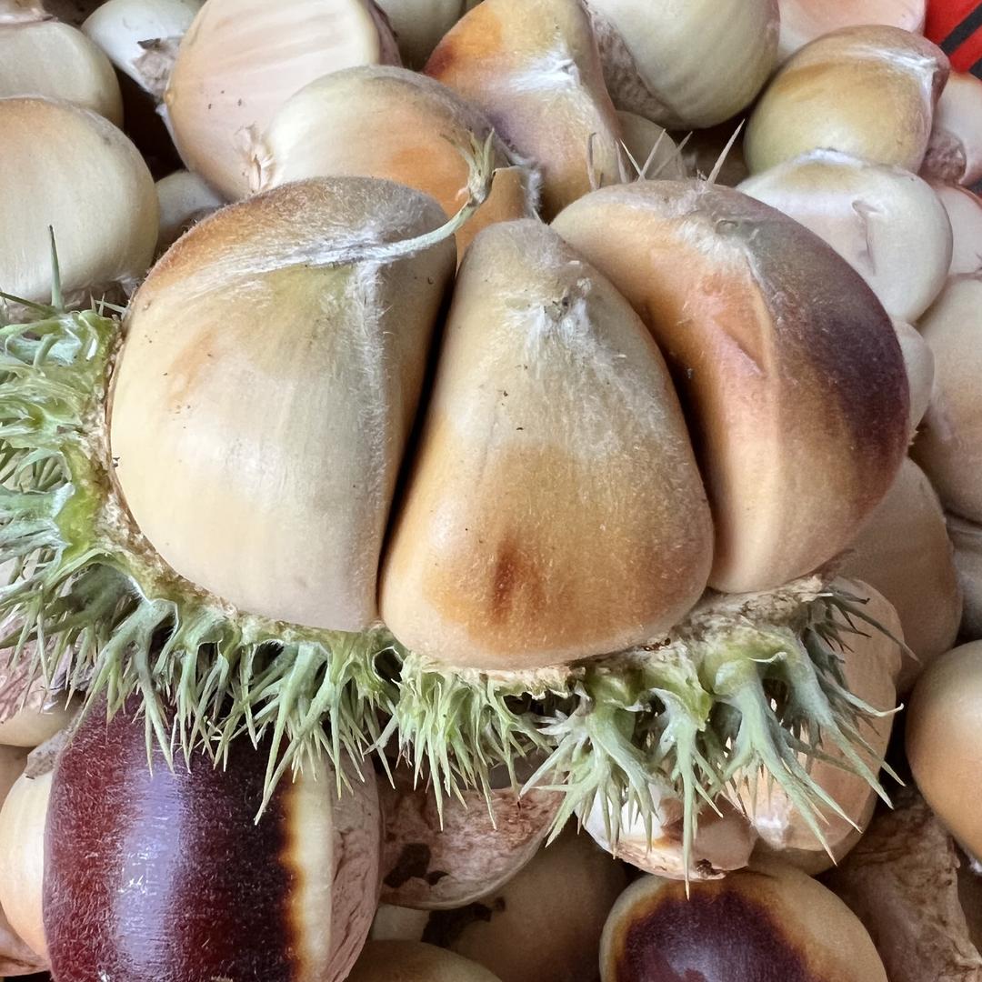 一栗田园农产品小铺