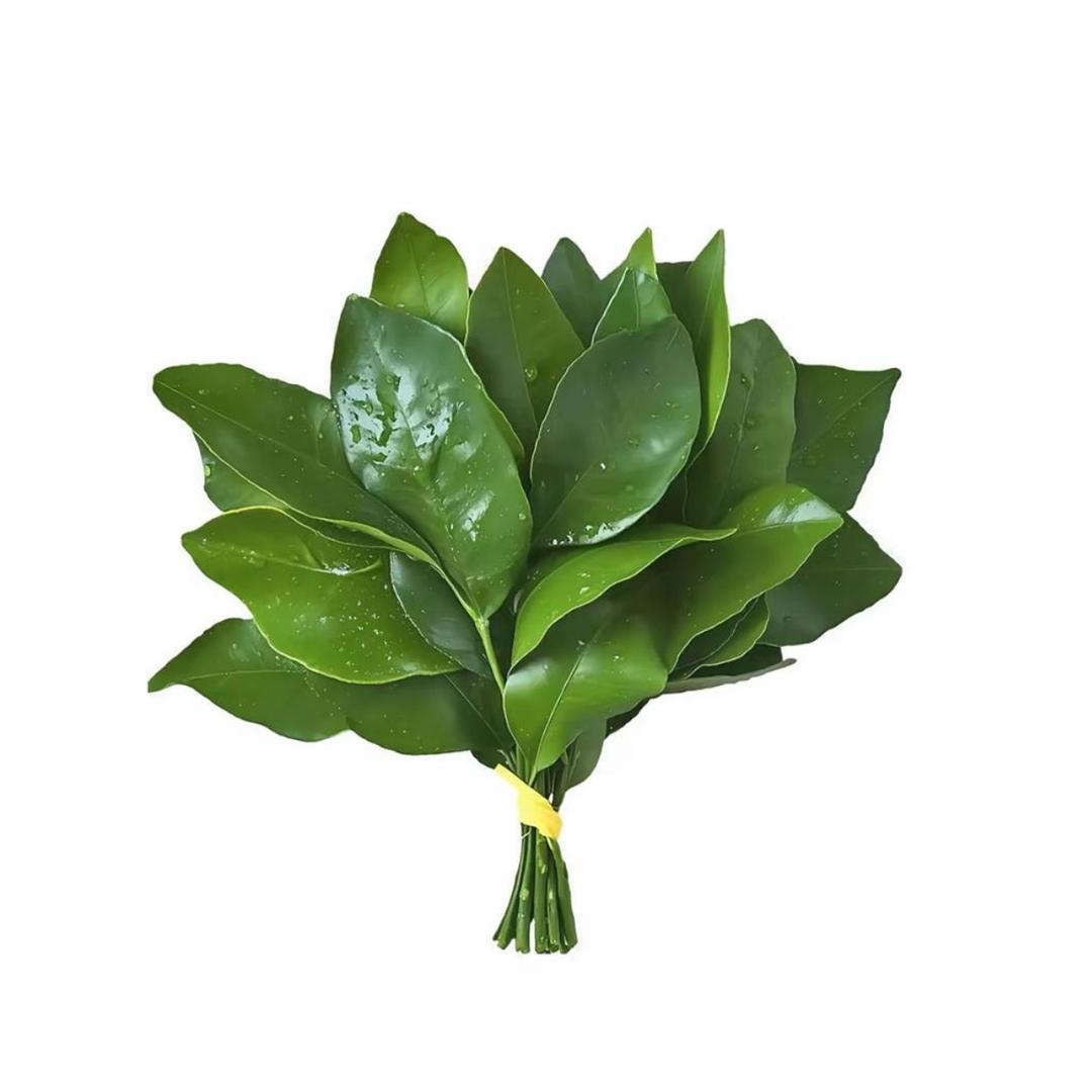 空白的对话框