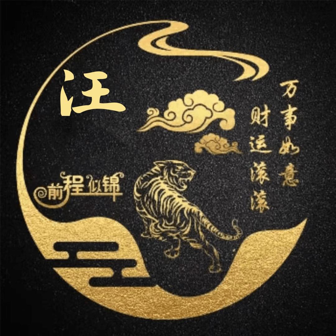 Wang  Lei