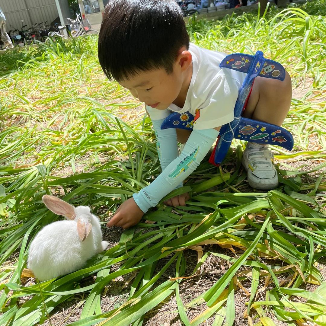 石榴妈妈