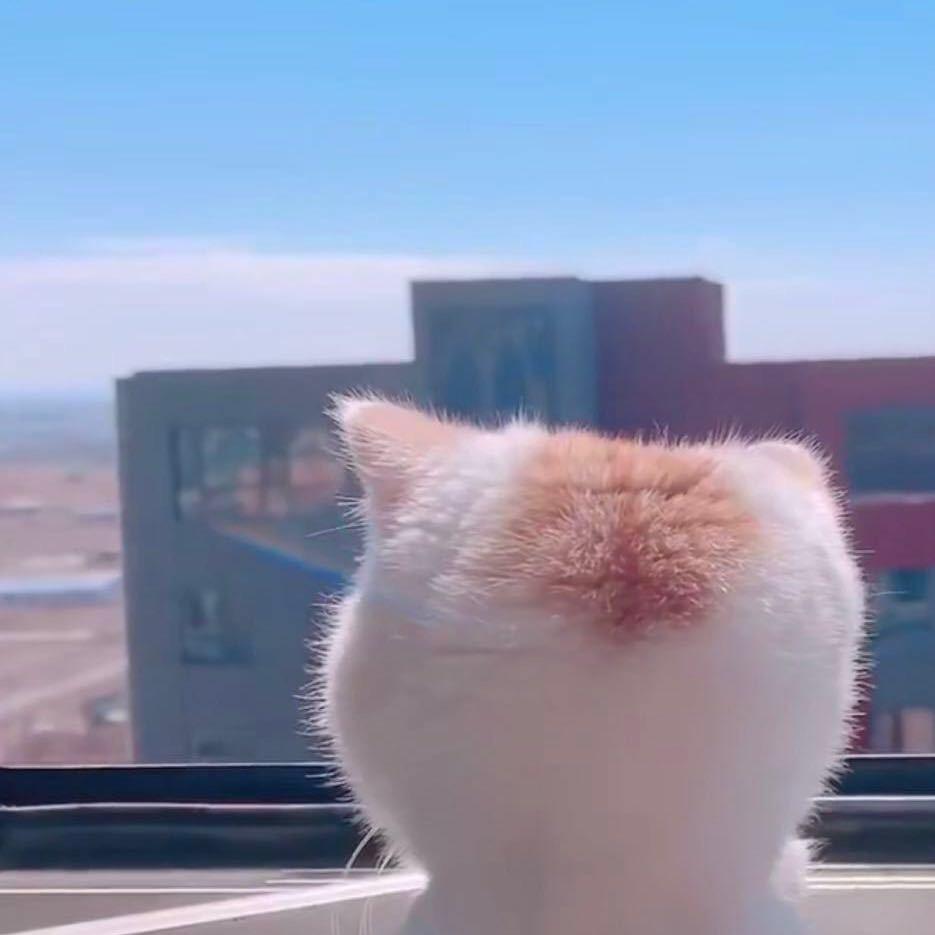 Ccccchen