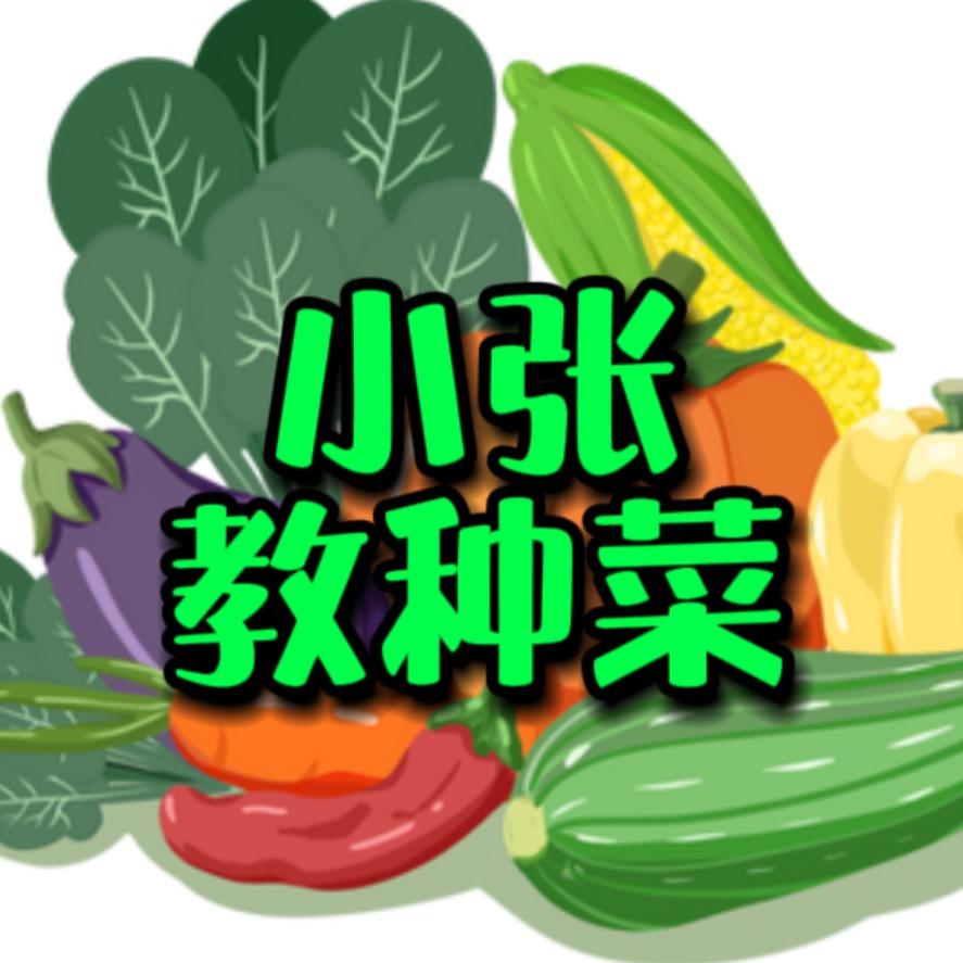 小张教种菜