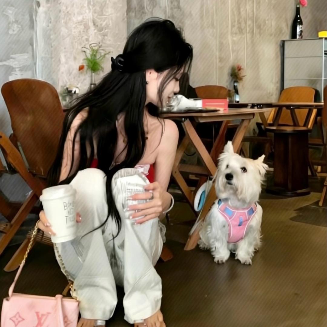 大脸猫🐱（包拯小策策）