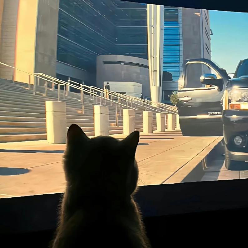 芥末过敏的卡皮巴拉