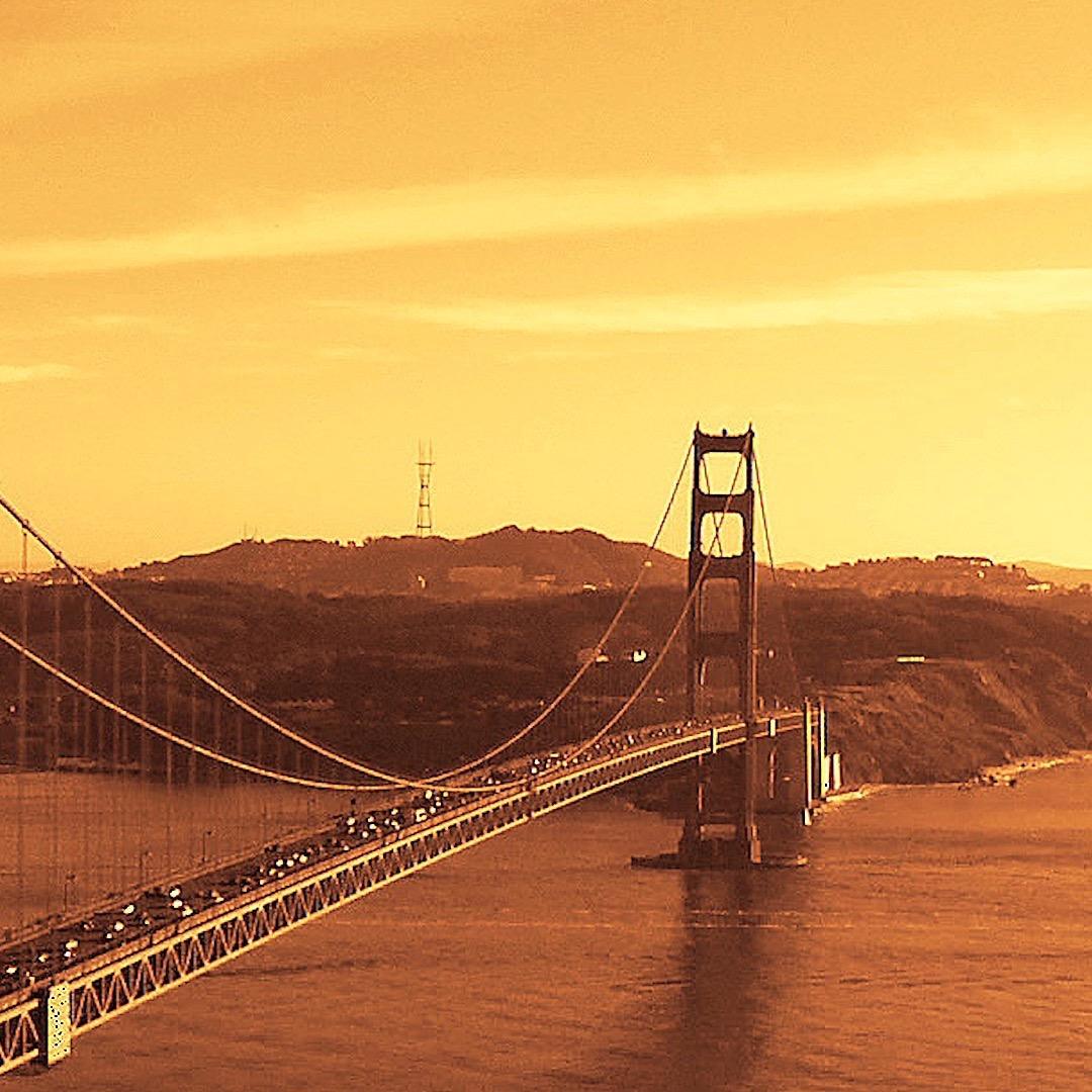 💰不是演习🐝